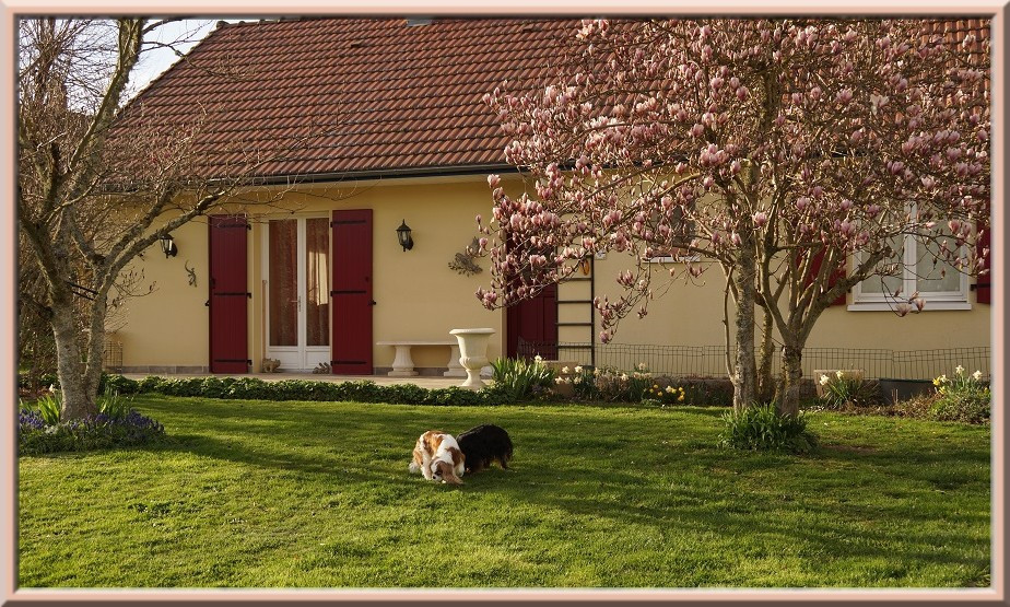 de Luline - Printemps 2026