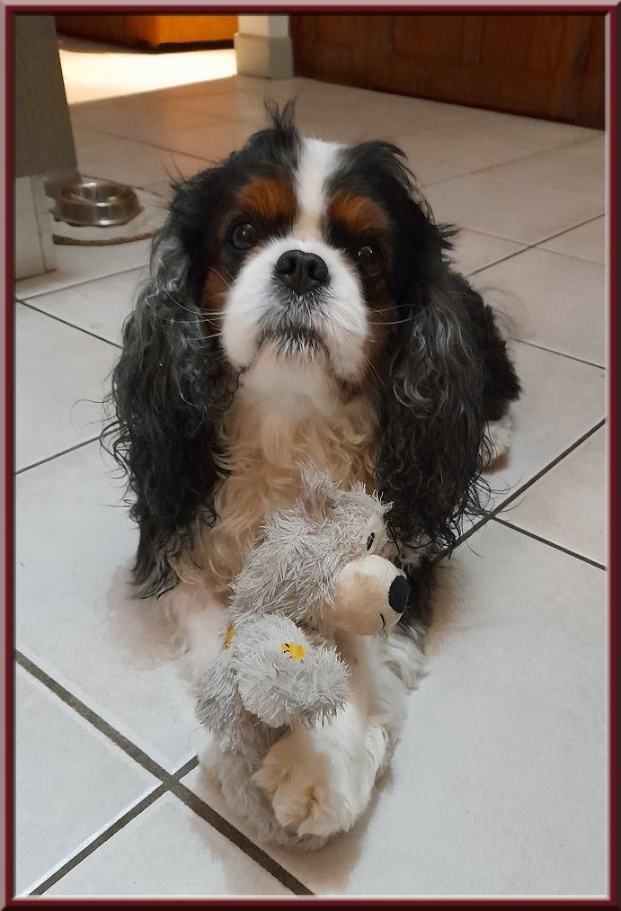 Nouvelles de Novembre 2025